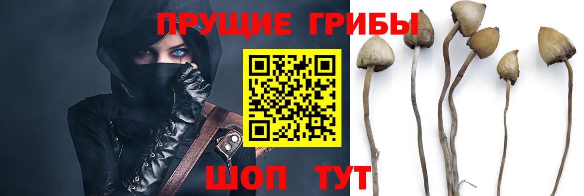 Галлюциногенные грибы Cubensis  Вход с VPN  Сыктывкар 